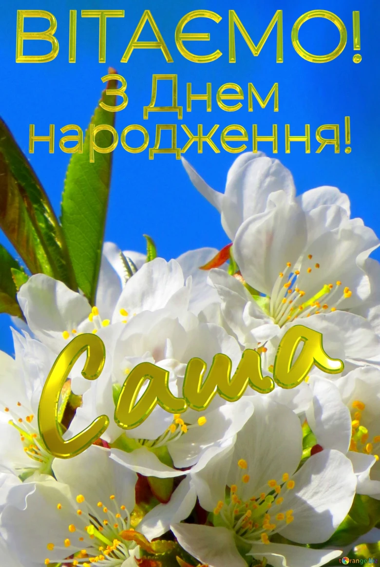 Квіти та привітання Саша з днем народження українською.