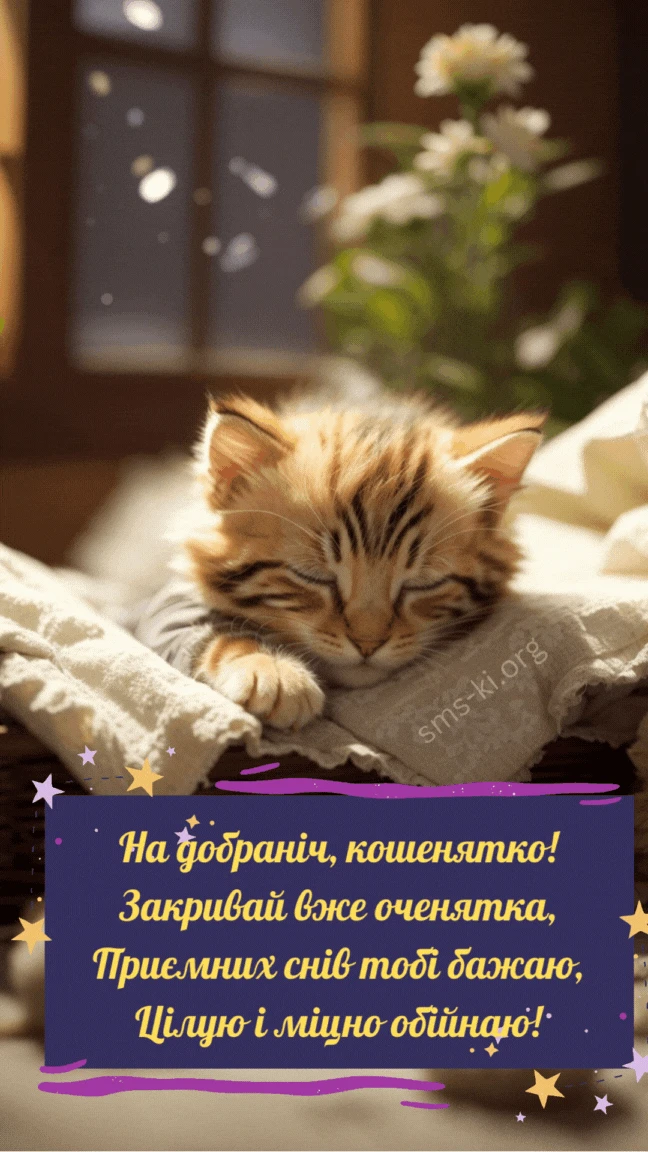 Спляче кошеня з побажаннями добраніч українською.