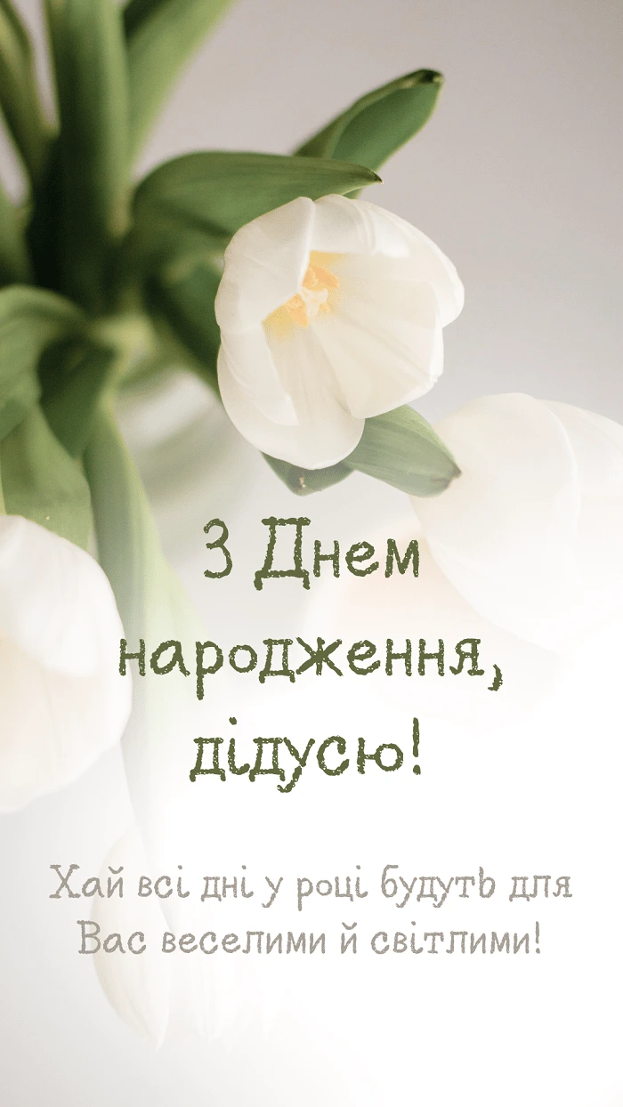 Біла тюльпана з побажаннями на день народження дідусю