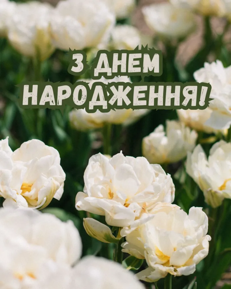 Білі тюльпани та привітання з днем народження українською.