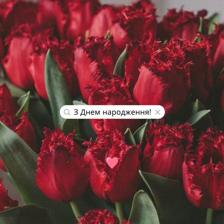 Червоні тюльпани з українським привітанням на день народження.