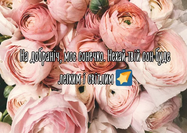Побажання на добраніч серед ніжних квітів